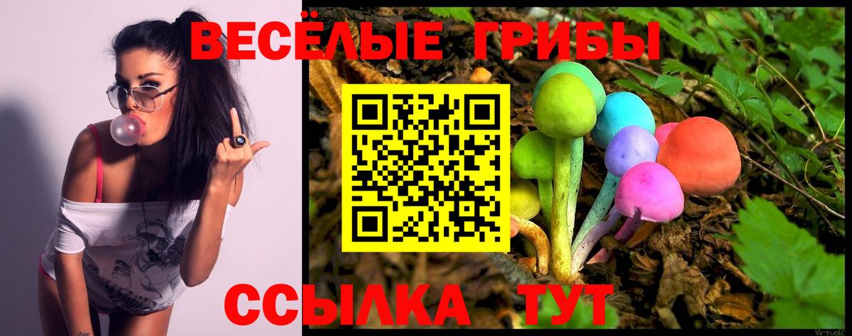 Галлюциногенные грибы Psilocybine cubensis  Вход с VPN  Псилоцибиновые грибы прущие грибы  как найти наркотики  Алейск 