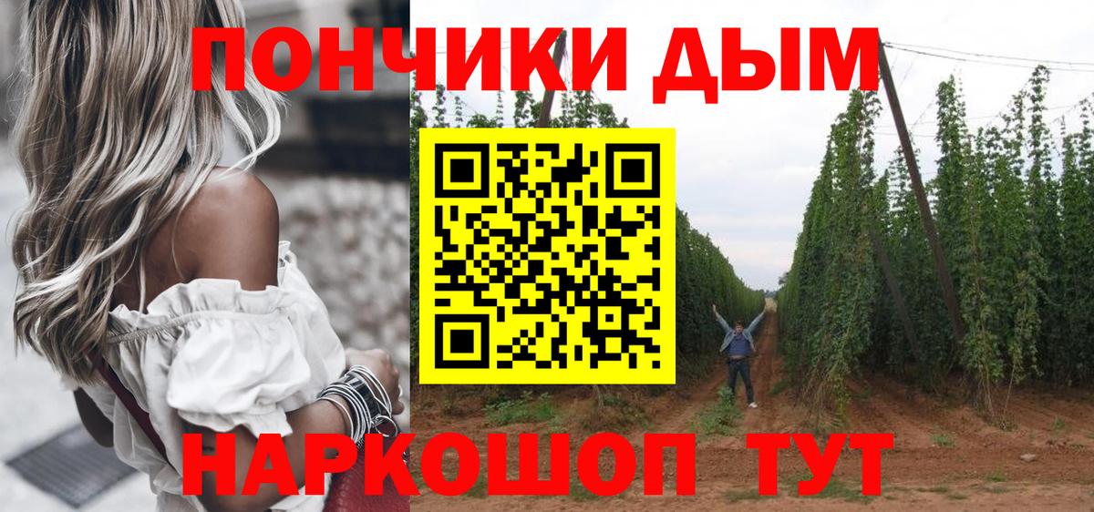 Конопля планчик  Вход с VPN  Бошки марихуана конопля  Алейск  МАРИХУАНА тримм  Канабис сатива 
